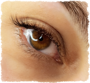 Wimpernverlängerung Beaty Cilia